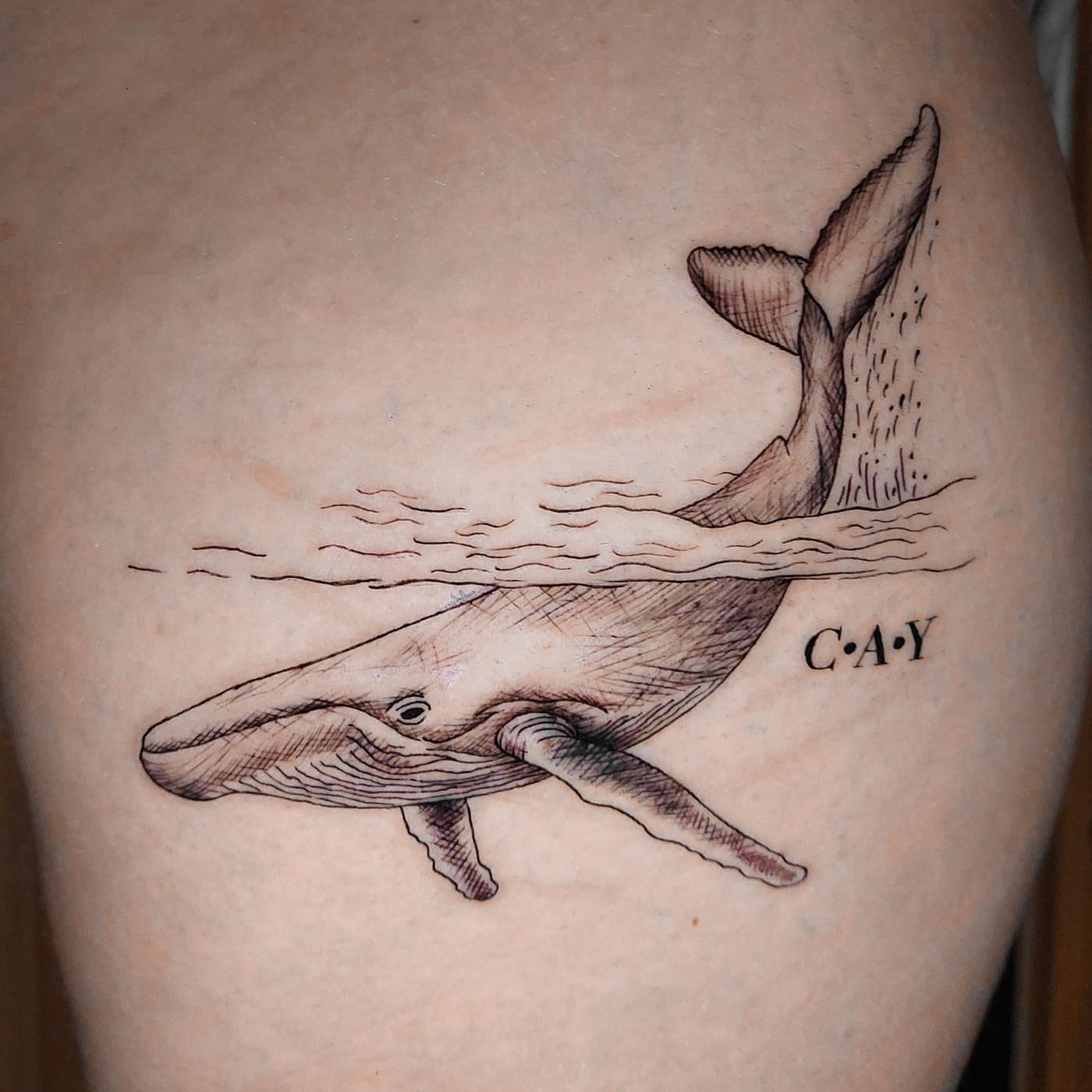 Tatouage d’une baleine, Melink